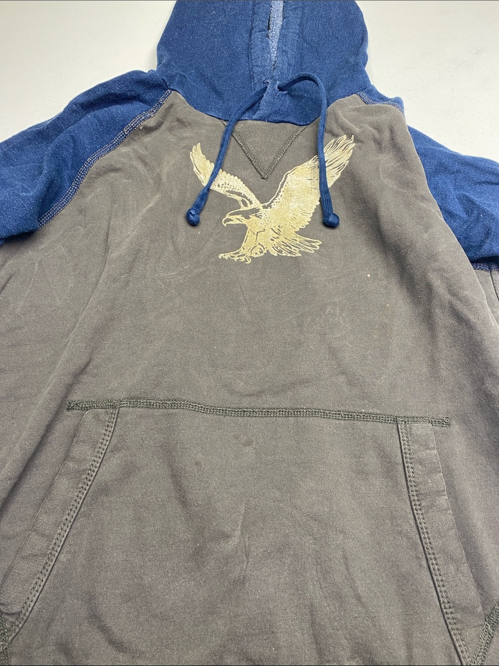 Blue & Gray Men's Eagle Pullover Hoodie